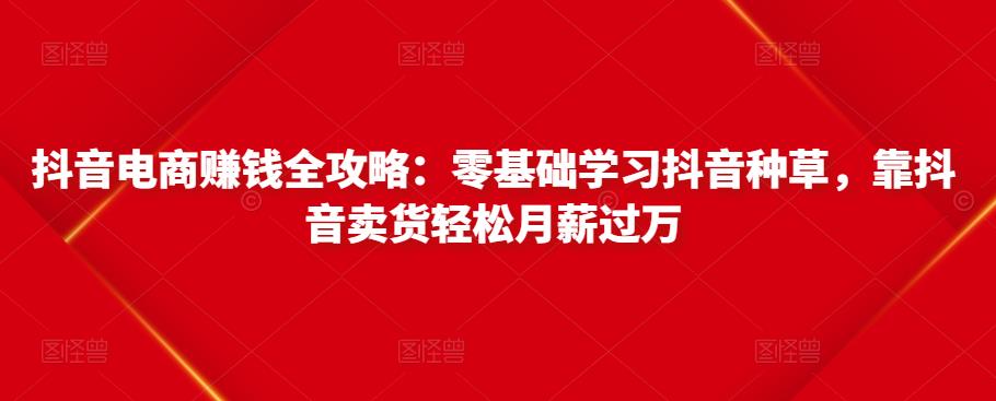 抖音电商赚钱全攻略：零基础学习抖音种草，靠抖音卖货轻松月薪过万-苏柒资源库