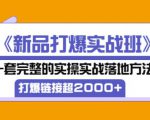 凌童《新品打爆实战班》,一套完整的实操实战落地方法,打爆链接超2000+(28节课)-苏柒资源库