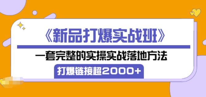 凌童《新品打爆实战班》,一套完整的实操实战落地方法，打爆链接超2000+（28节课)-苏柒资源库