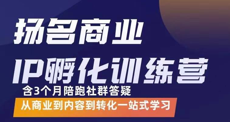 杨名商业IP孵化训练营，从商业到内容到转化一站式学 价值5980元-苏柒资源库