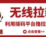 最新接码无限拉新项目,利用接码平台赚拉新平台差价,轻松日赚500+-苏柒资源库