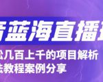 抖音最新蓝海直播玩法,3分钟赚30元,一天轻松1000+,只要你去直播就行【详细玩法教程】-苏柒资源库