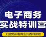 民赛电气内部出品:电子商务实战特训营,全方位带你入门电商,308种方式玩转电商-苏柒资源库