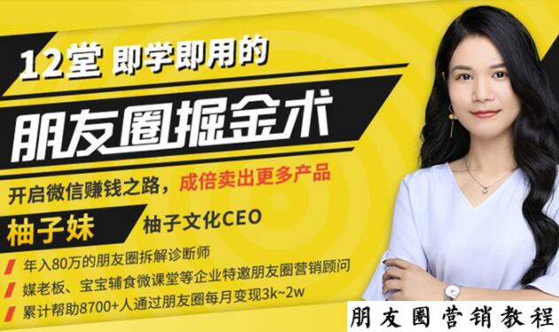 【营销必学】12堂学之即用的朋友圈掘金术:开启你的副业赚钱之路-苏柒资源库