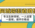 同城跨渠道销售，专注生鲜领域，一人运营一座城，避开价格战-苏柒资源库
