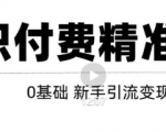 玩转知识付费项目精准引流，给你1套课多账号操作落地方案！-苏柒资源库