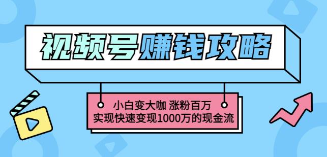 玩转微信视频号赚钱:小白变大咖涨粉百万实现快速变现1000万的现金流-苏柒资源库