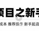 虚拟项目快速起店模式，0成本打造月入几万虚拟店铺！-苏柒资源库