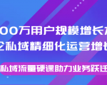 8000万用户规模增长方法论私域精细化运营增长，私域流量硬课助力业务跃迁-苏柒资源库