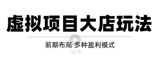 虚拟项目月入几万大店玩法分享，多店操作利润倍增（快速起店盈利）-苏柒资源库