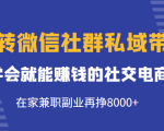 玩转微信社群私域带货,学会就能赚钱的社交电商,在家兼职副业再挣8000+-苏柒资源库