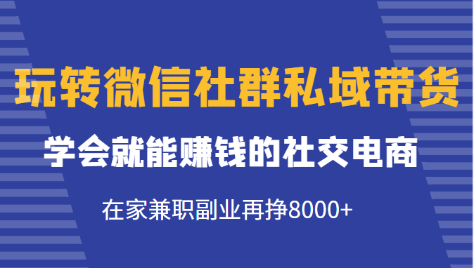 玩转微信社群私域带货，学会就能赚钱的社交电商，在家兼职副业再挣8000+-苏柒资源库