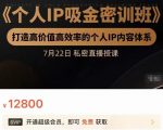 个人IP吸金密训班,打造高价值高效率的个人IP内容体系(价值12800元)-苏柒资源库