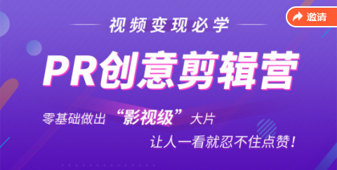 抖音赚钱必学的PR创意剪辑：零基础做出“影视级”大片，让人一看就忍不住为你点赞！-苏柒资源库