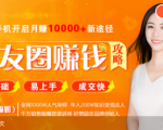 全网千万人气导师亲授：零基础/易上手的朋友圈赚钱攻略，让你轻松月入过万-苏柒资源库