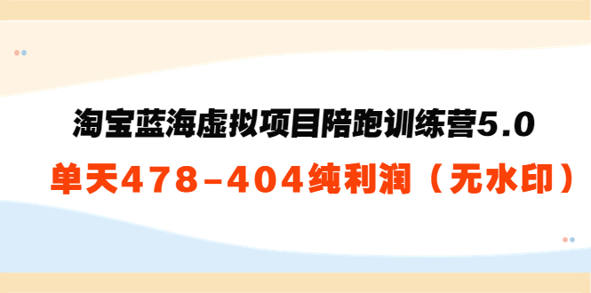 淘宝蓝海虚拟项目陪跑训练营5.0：单天478纯利润-苏柒资源库