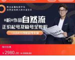 0粉0作品自然流正价起号及稳号全教程,专业自然流起号机构流程化教学(价值2980元)-苏柒资源库