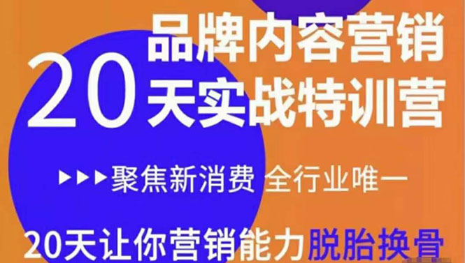 《内容营销实操特训营》20天让你营销能力脱胎换骨（价值3999）-苏柒资源库