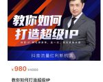 教你如何打造超级IP,抖音流量红利新机遇(价值980元)-苏柒资源库
