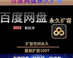 百度网盘无限扩容技术，外面卖399的，无论自己用还是用做引流都可以-苏柒资源库