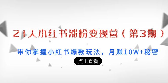 21天小红书涨粉变现营（第3期）：带你掌握小红书爆款玩法，月赚10W+秘密-苏柒资源库