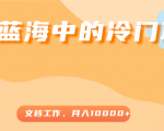 超级蓝海中的冷门项目,文档工作,好玩又赚钱,月入10000+-苏柒资源库
