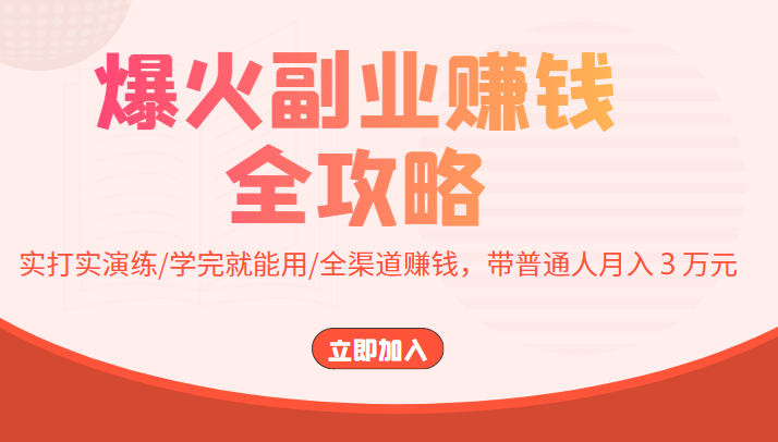 爆火副业赚钱全攻略：实打实演练/学完就能用/全渠道赚钱，带普通人月入３万元-苏柒资源库