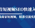 抖音短视频Seo搜索排名优化新手快速入门教程,实体商家短视频,精准引流实操课-苏柒资源库