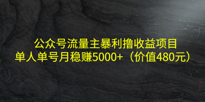 公众号流量主暴利撸收益项目，单人单号月稳赚5000+（价值480元）-苏柒资源库