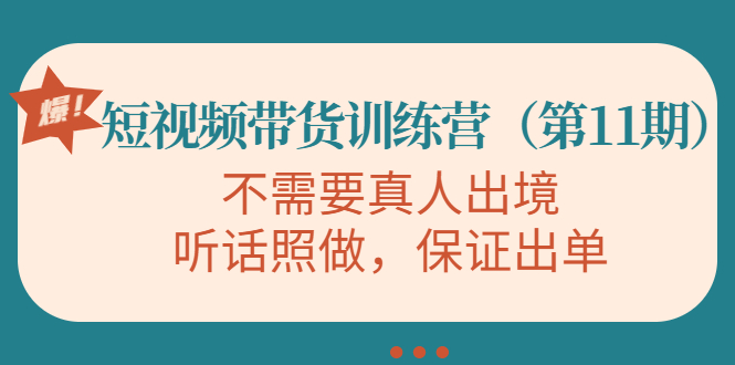 视频带货训练营，不需要真人出境，听话照做，保证出单（第11期）-苏柒资源库