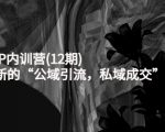 新媒体IP内训营(12期),一套全新的“公域引流,私域成交”IP打法,直接带走-苏柒资源库
