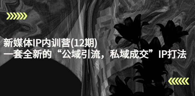 新媒体IP内训营(12期),一套全新的“公域引流,私域成交”IP打法,直接带走-苏柒资源库