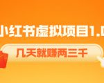 《小红书虚拟项目1.0》账号注册+养号+视频制作+引流+变现,几天就赚两三千-苏柒资源库