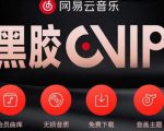 网易云音乐撸黑胶年卡及变现方法，收益可无限放大-苏柒资源库