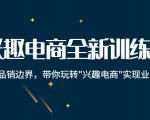 兴趣电商全新训练营:打破品销边界,带你玩转“兴趣电商“实现业务增长-苏柒资源库