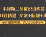 中视频二创解说训练营：从0到精通 文案+标题+素材、月入5000到5W-苏柒资源库