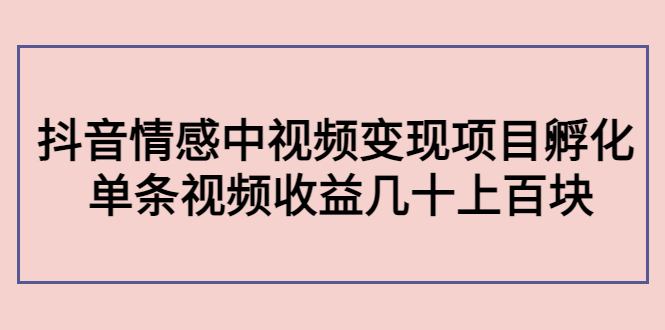 副业孵化营第5期：抖音情感中视频变现项目孵化 单条视频收益几十上百-苏柒资源库