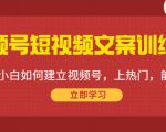 视频号短视频文案训练营:0基础小白如何建立视频号,上热门,能卖货!-苏柒资源库