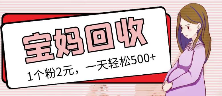 最新小红书母婴号宝妈粉回收项目，1个粉2元，一天轻松500+案例分享【粉丝包回收】-苏柒资源库