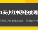 21天小红书涨粉变现营（第4期）：带你掌握小红书爆款玩法，月赚10W+秘密-苏柒资源库