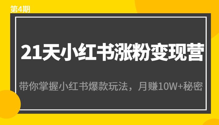 21天小红书涨粉变现营（第4期）：带你掌握小红书爆款玩法，月赚10W+秘密-苏柒资源库