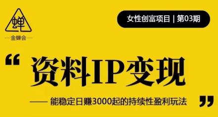 资料IP变现，能稳定日赚3000起的持续性盈利玩法-苏柒资源库