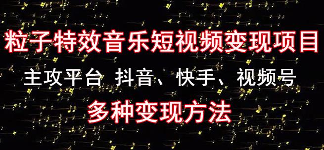 黄岛主《粒子特效音乐短视频变现项目》主攻平台抖音、快手、视频号多种变现方法-苏柒资源库