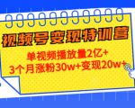 21天视频号变现特训营：单视频播放量2亿+3个月涨粉30w+变现20w+（第14期）-苏柒资源库