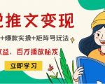 小说推文训练营：引流技巧+爆款实操+矩阵号玩法，百倍效益、百万播放秘笈-苏柒资源库