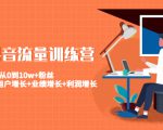 美业抖音流量训练营:从0到10w+粉丝 让你的门店用户增长+业绩增长+利润增长-苏柒资源库