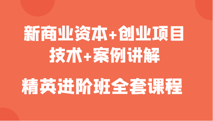 新商业资本+创业项目，技术+案例讲解，精英进阶班全套课程-苏柒资源库