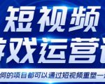 短视频游戏赚钱特训营,0门槛小白也可以操作,日入1000+-苏柒资源库