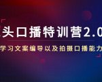 镜头口播特训营2.0版,学习文案编导以及拍摄口播能力(50节课时)-苏柒资源库