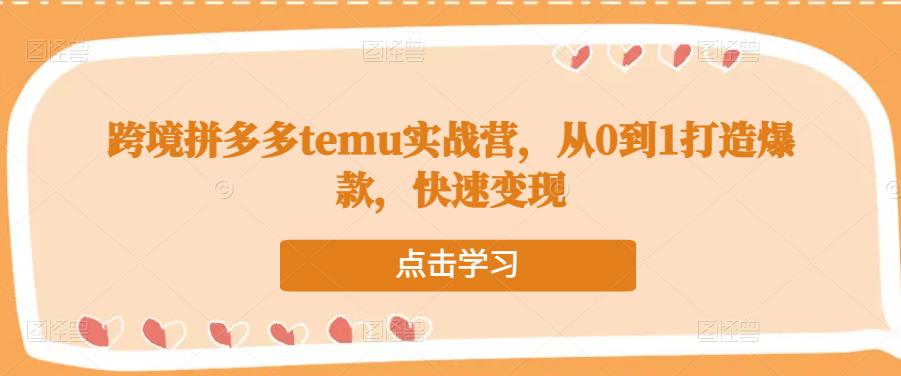 跨境拼多多temu实战营,从0到1打造爆款,快速变现-苏柒资源库